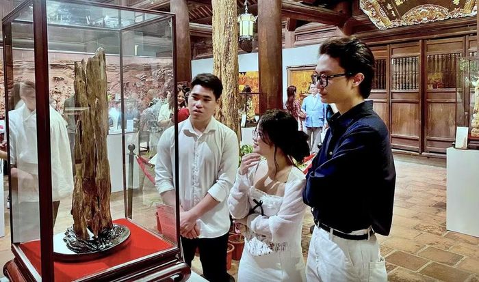 Công chúng tham quan không gian trưng bày. Ảnh: Như Hoa