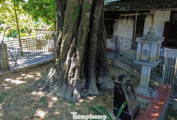 Người dân địa phương xem đây như “báu vật” gắn với lịch sử và đời sống tinh thần của cộng đồng các dân tộc Mường, Thái ở vùng đất này.