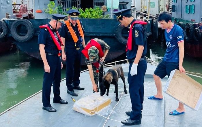  Hải quan khu vực VIII kiểm tra hàng hóa xuất nhập khẩu. Ảnh: Hải Nam.