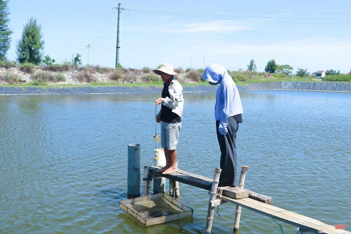 Người nuôi tôm tại xã Thiên Cầm thường xuyên theo dõi các thông số môi trường, tình hình dịch bệnh.