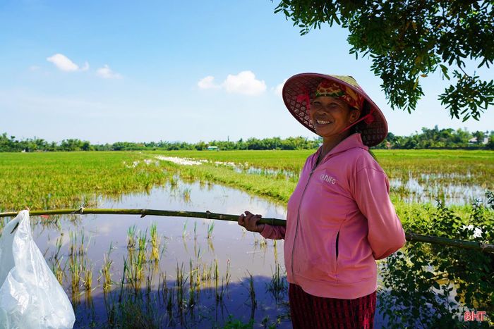  Bà Nguyễn Thị Hòa (xã Thạch Hà) chia sẻ: “Mỗi ngày, đàn vịt ra đồng từ 6 giờ sáng và đến 6 giờ tối trở về chuồng. Trứng của vịt thả đồng ngon hơn nên được khách hàng rất ưa chuộng. Chúng tôi chỉ tranh thủ thả đồng khoảng 2-3 tháng, khi bắt đầu gieo cấy thì lại đưa vịt về nhà”. 