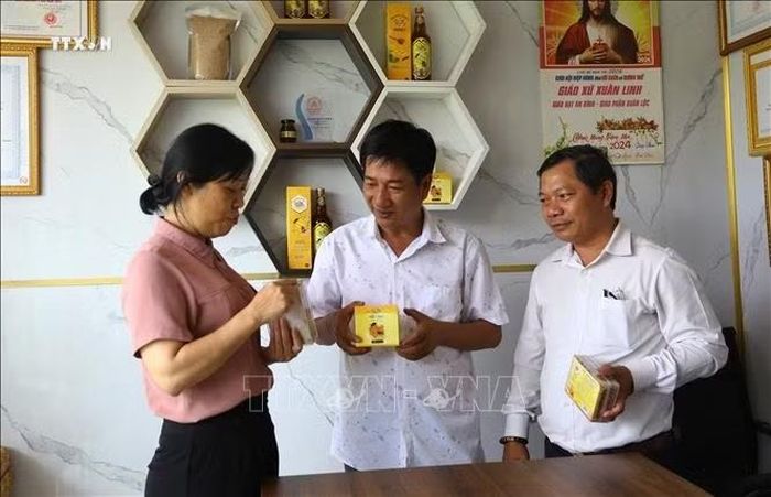 Sản phẩm Mật ong bánh tổ, mật ong ly tâm của ông Lê Lộc Quân đạt chứng nhận OCOP 3 sao và được xuất khẩu sang thị trường Hàn Quốc. Ảnh: Lê Xuân/TTXVN