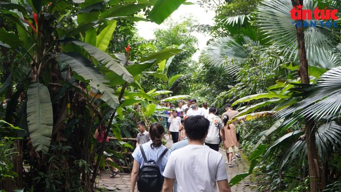 Du khách dạo bước trong không gian xanh, tận hưởng nhịp sống chậm và bầu không khí trong lành tại Thái Hải.