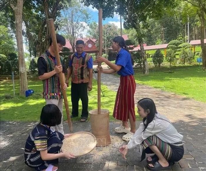 Du khách trải nghiệm giã gạo chày tay.