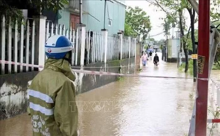 Ảnh minh họa: Trần Lê Lâm/TTXVN