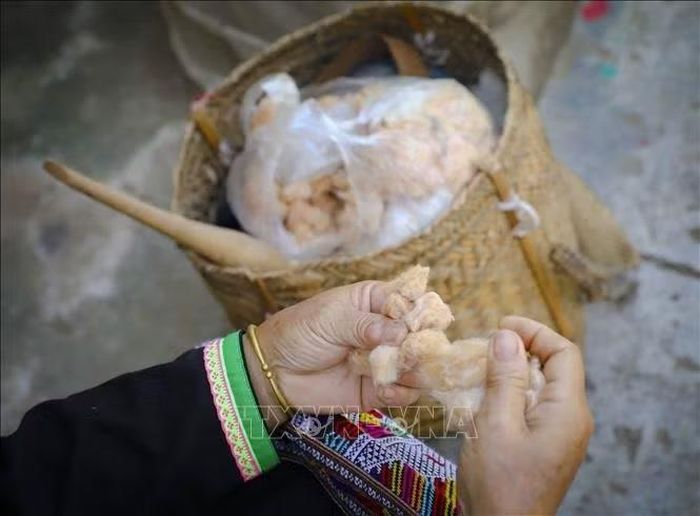 Nguyên liệu bông được người dân chuẩn bị để thực hiện các công đoạn tạo sợi phục vụ dệt thổ cẩm. Ảnh: Xuân Tư/TTXVN