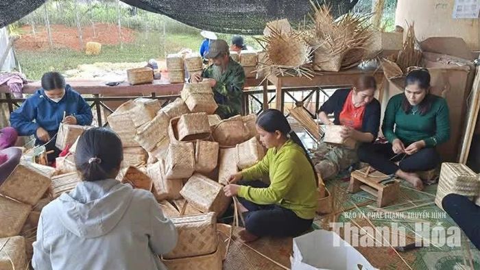 Sản phẩm mới đã tạo thu nhập ổn định cho các thành viên trong Tổ hợp tác sản xuất mây tre đan thôn Thượng Tiến.