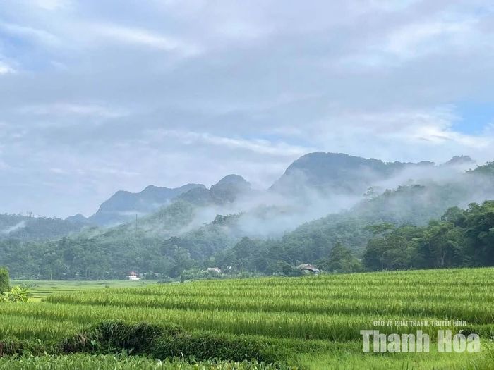 Cảnh quan thiên nhiên hữu tình với đồng lúa, rừng luồng là những tiềm năng cho du lịch Thiên Phủ.