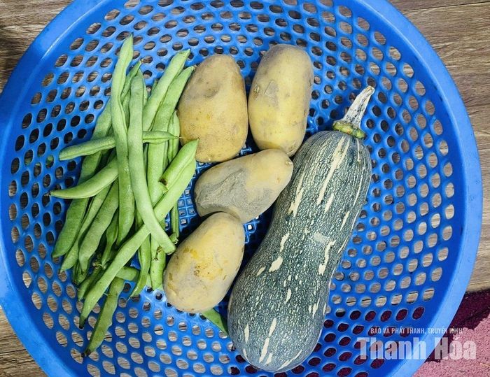 Củ, quả được người nội trợ sử dụng thay thế cho các loại rau ăn lá.
