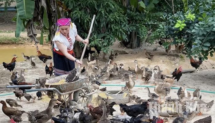 Không chỉ là một cán bộ mẫn cán, trách nhiệm với Nhân dân, chị Lữ Thị Thanh còn là tấm gương trong lao động, sản xuất.