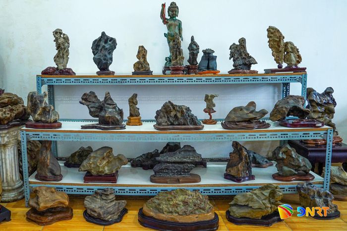 "Bảo tàng thu nhỏ" trong căn nhà tại phường Thanh Khê - nơi lưu giữ những khối đá tự nhiên niên đại hàng triệu năm tuổi.