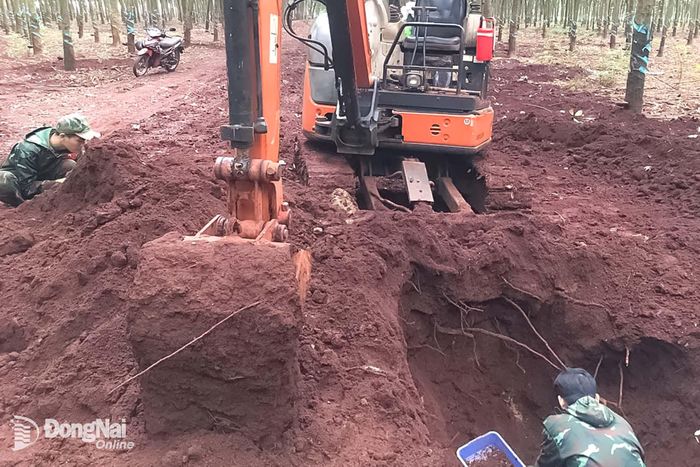 1 bộ trong 3 bộ hài cốt liệt sĩ được quy tập ngày 3-10 tại ấp Thạch Màng, xã Tân Lợi. Ảnh: ĐVCC
