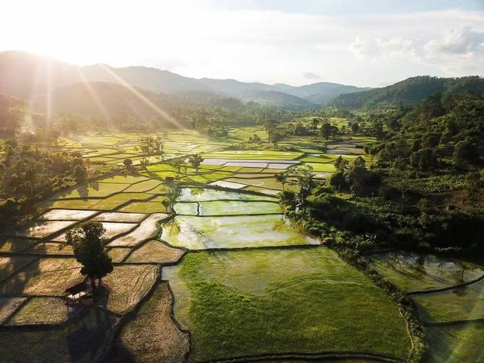  Những thửa ruộng nằm xen giữa màu xanh của rừng già và dãy Kon Ka Kinh. Ảnh: Hoàng Ngọc 
