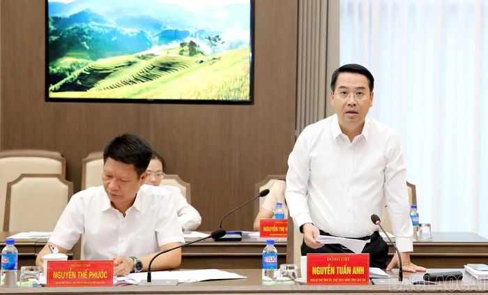 Đồng chí Nguyễn Tuấn Anh - Phó Bí thư Tỉnh ủy, Chủ tịch UBND tỉnh phát biểu tại buổi làm việc.