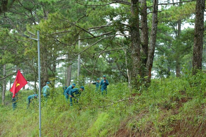 Xã Quảng Trực tham gia phát dọn, chăm sóc cây xanh trên địa bàn