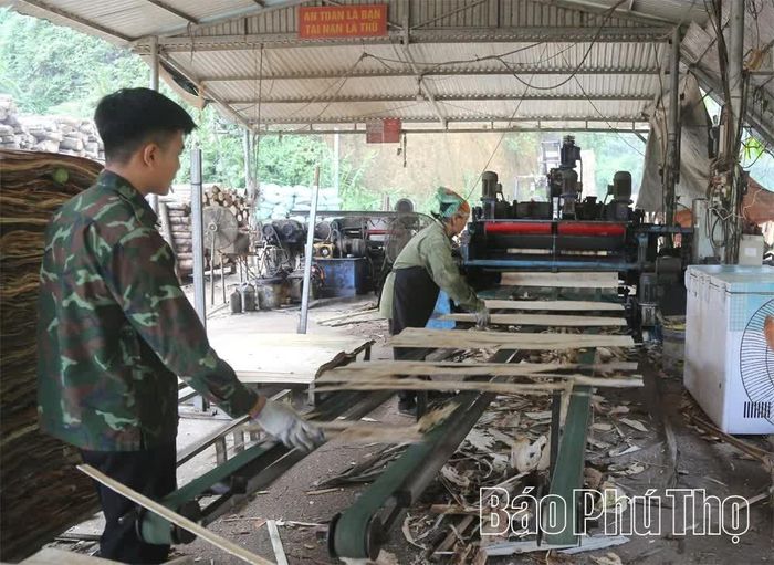 Tại đây, gỗ được bóc thành những tấm ván mỏng.