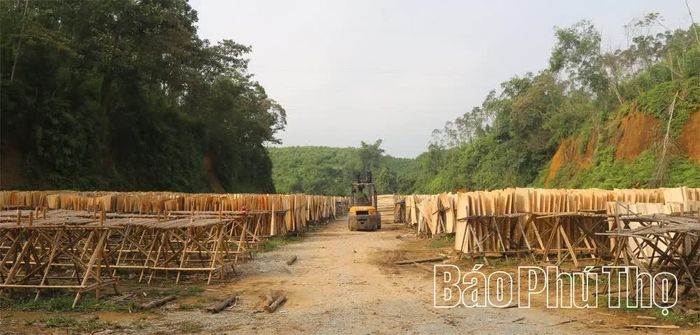 Ván được phơi khô từ 4-5 nắng.