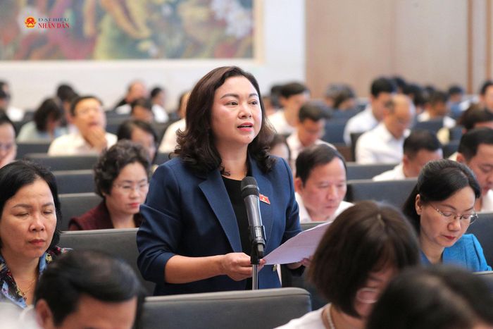 ĐBQH Đặng Bích Ngọc (Phú Thọ) phát biểu. Ảnh: Hồ Long