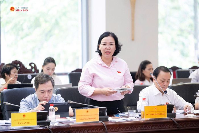 Phó Chủ nhiệm Ủy ban Văn hóa và Xã hội Trần Thị Thanh Lam phát biểu
