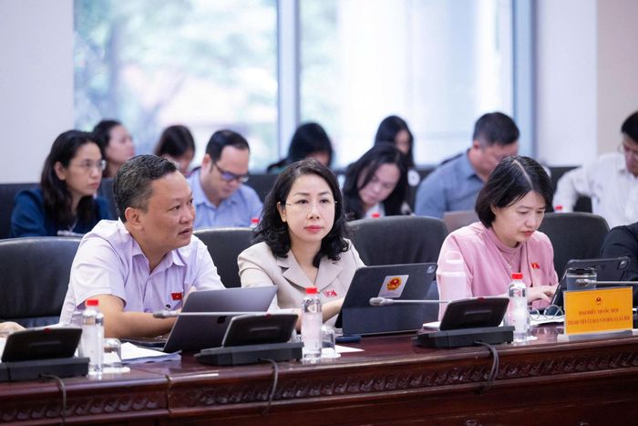 Các đại biểu dự phiên họp