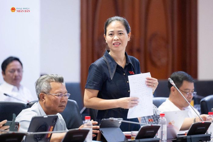 ĐBQH Nguyễn Thị Thu Dung (TP. Hà Nội) phát biểu