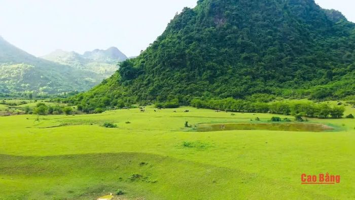 Sân golf Bãi Tình, xã Thanh Long được chứng nhận “Sân golf cộng đồng đầu tiên tại Việt Nam”.