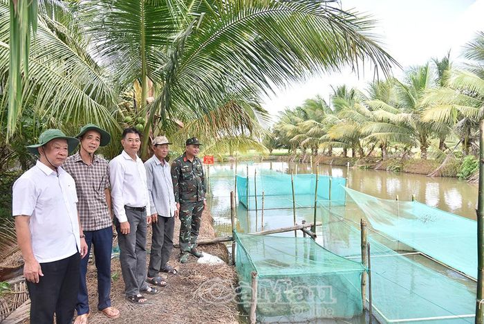 Tham quan mô hình lúa - cá của nông dân ấp Mỹ Hoà, xã Vĩnh Thanh, ngày 11/8, đồng chí Hồ Trung Việt, Uỷ viên Ban Thường vụ Tỉnh uỷ, Trưởng ban Tuyên giáo Tỉnh uỷ Cà Mau (bìa trái), đánh giá cao hiệu quả mô hình trong bảo vệ nguồn lợi cá đồng tự nhiên.