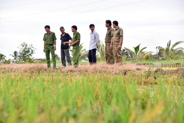 Tổ nhân dân tự quản về an ninh, trật tự khu vực nuôi thuỷ sản nước ngọt trên đất trồng lúa tại ấp Mỹ Tường, xã Vĩnh Thanh, kiểm tra tình hình phát triển cá đồng tại các hộ nuôi.