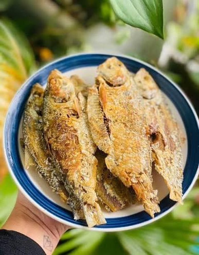 Cá mòi được chế biến thành nhiều món ăn ngon, hấp dẫn - Ảnh minh hoạ