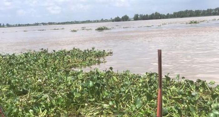 Khu vực phát hiện thi thể người phụ nữ.