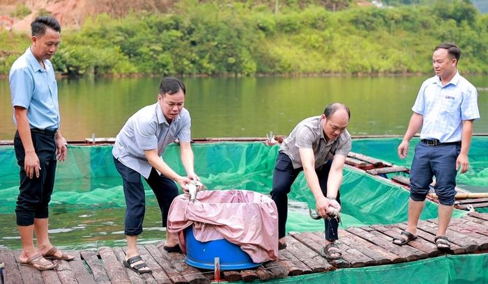  Lãnh đạo xã Thông Nguyên tổ chức thả cá giống thuộc Dự án hỗ trợ phát triển sản xuất cộng đồng nuôi cá lồng tại lòng hồ thủy điện Xuân Minh, thôn Lùng Lý. 