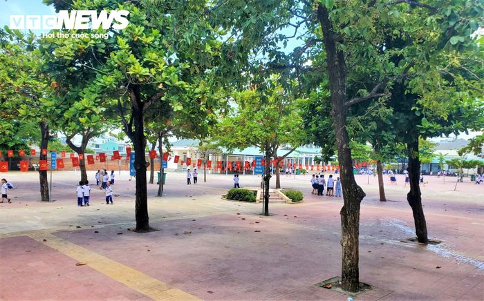 Học sinh ra chơi trong giờ nghỉ giải lao tại Trường Tiểu học số 1 Bình Định