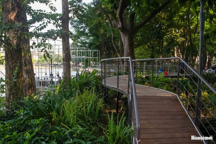 Điểm nhấn của tác phẩm là một tuyến cầu cạn cảnh quan mảnh, uốn lượn qua khu vườn ven hồ như một dải lụa len giữa những thân cây. Thay vì tạo một trục thẳng, tuyến cầu được thiết kế chuyển hướng theo hệ thống cây xanh hiện hữu, nâng nhẹ khỏi mặt đất nhằm hạn chế tác động trực tiếp tới khu vực rễ cây lớn và giữ sự liên tục của cảnh quan.