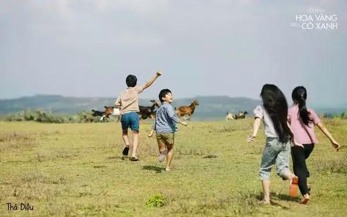 “Tôi thấy hoa vàng trên cỏ xanh” của đạo diễn Victor Vũ ra mắt với phần lớn bối cảnh được thực hiện tại Phú Yên