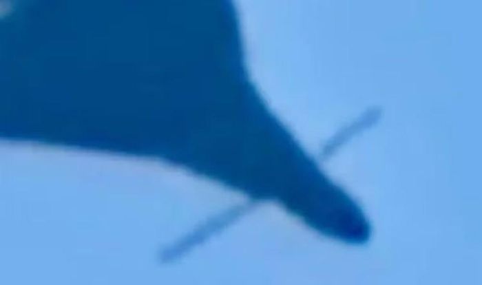 Hình ảnh được phía Ukraine công bố cho thấy UAV mang một số thanh kim loại nhô ra phía trước. Serhii Sternenko, nhà hoạt động và tình nguyện viên Ukraine, cho rằng các thanh này có thể được dùng để kích hoạt đầu đạn khi UAV va vào những mục tiêu nhỏ như đường dây điện.