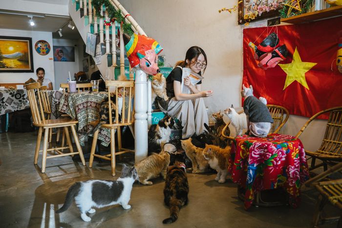  Chủ quán, anh Bùi Hoàng Huy, cho biết tiệm cafe bắt nguồn từ đam mê truyện tranh từ thuở còn đi học. Từ thời còn học trường THPT Chuyên Nguyễn Huệ (Hà Nội), anh Huy thường xuyên "lê la" các tiệm truyện tranh đối diện cổng trường, mê mẩn đọc các bộ truyện như One Piece, Dragon Ball. Cảm thấy đọc truyện vẫn chưa đủ thỏa đam mê, anh Huy nuôi uớc mơ mở một tiệm sách của riêng mình. Sau này, anh Huy nuôi chú mèo đầu tiên tên là Oleo. Không gian quán cafe vừa là nơi duy trì niềm đam mê sách, vừa là cách để anh nhớ về chú mèo của mình. 
