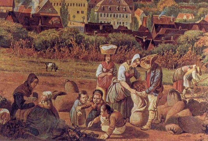  Lịch sử loài người gắn liền với sự thăng trầm của sản xuất nông nghiệp. Ảnh: From Poverty to Progress.