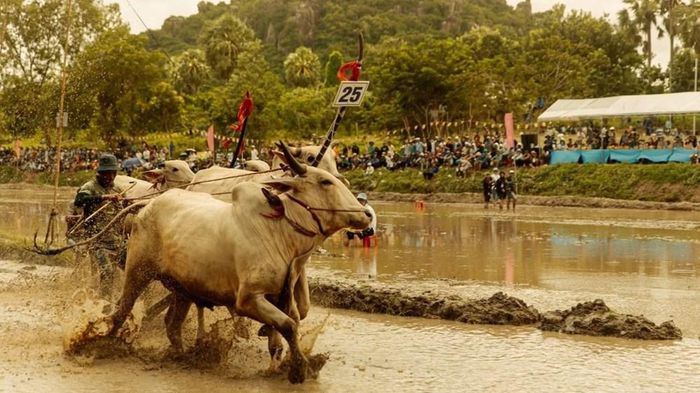 Chất liệu văn hóa bản địa mang đến không gian, màu sắc riêng cho bộ phim