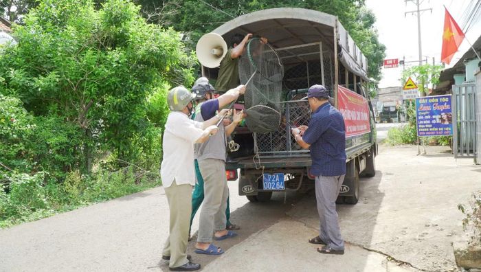 Bắt chó thả rông ở một xã thuộc Thành phố Hồ Chí Minh. (Ảnh: LÊ ĐÌNH THÌN)