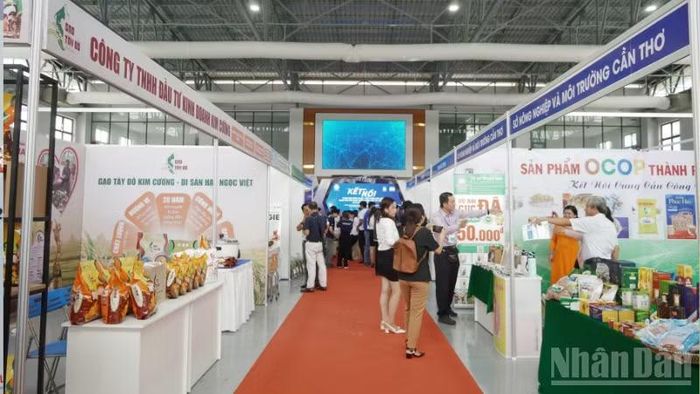 Cần Thơ cần đẩy mạnh chuyển giao công nghệ để tạo “bệ đỡ” cho các sản phẩm chủ lực và OCOP. (Ảnh: VĂN ÚT)