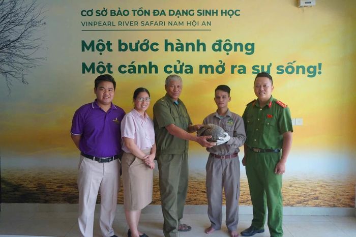 Người dân tự nguyện bàn giao cá thể tê tê cho cơ quan chức năng.