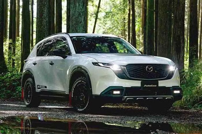 Mazda CX-5 thế hệ mới sở hữu hệ truyền động hybrid nhẹ (MHEV) 24V, kết hợp động cơ xăng Skyactiv-G 2.5L 4 xi-lanh hút khí tự nhiên. Hệ thống cho công suất 141 mã lực, mô-men xoắn 238 Nm và truyền sức mạnh tới cả bốn bánh thông qua hệ dẫn động i-Activ AWD.