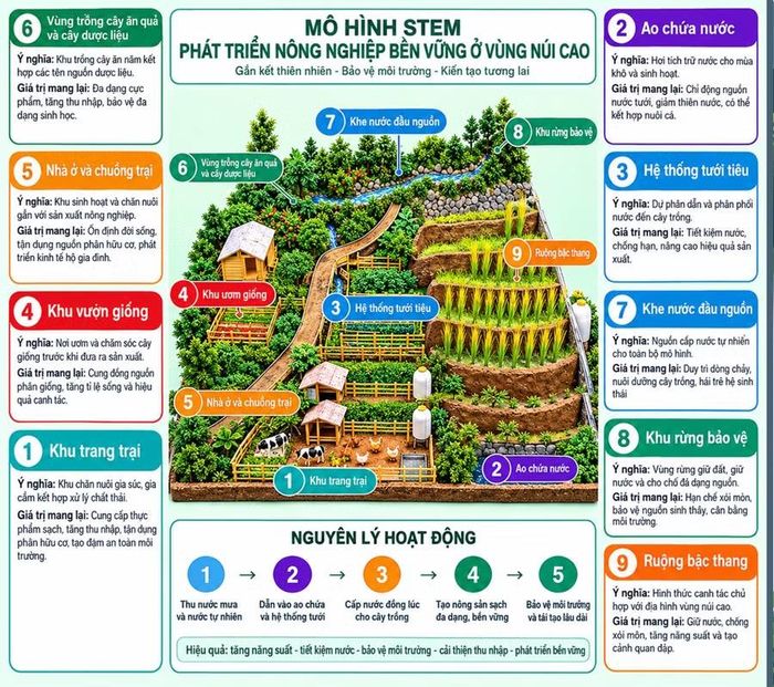 Mô hình "Giải pháp phát triển nông nghiệp bền vững ở vùng núi cao" của hai học sinh Trường PTDTBT TH&THCS Tà Tổng.
