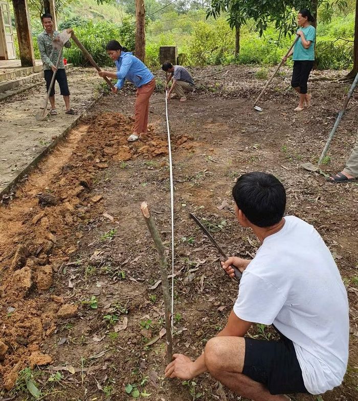  Người dân được trang bị kiến thức về lựa chọn giống, kỹ thuật trồng và chăm sóc cây. Ảnh NTCC. 