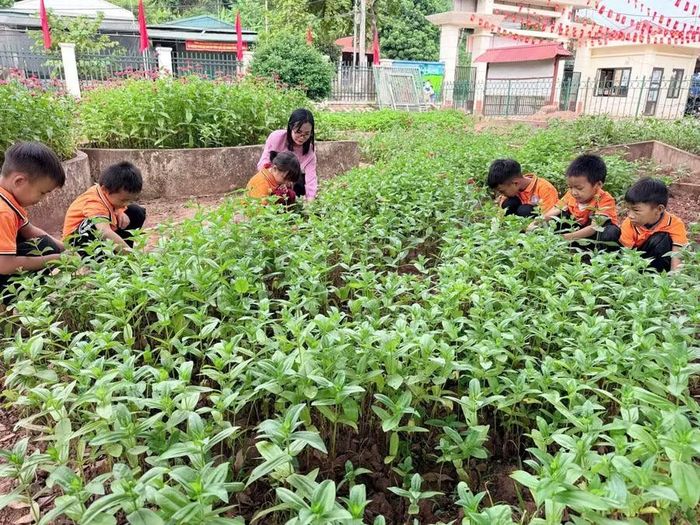 Cô Mơ cùng học trò trải nghiệm môi trường thực tế.