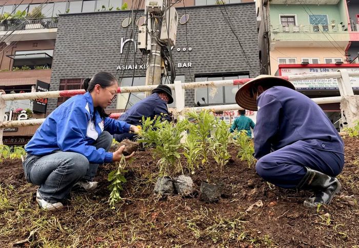 Đông đảo người dân tham gia trồng cây xanh trong phố.