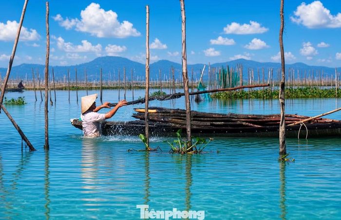 Từ đầu tháng 9, UBND xã Phú Vang bắt đầu mạnh tay “giải vây” mặt nước đầm phá, yêu cầu các hộ dân tự tháo dỡ công trình lấn chiếm. Sau thời hạn quy định, những trường hợp không chấp hành sẽ bị kiểm tra, xử phạt và cưỡng chế﻿ tháo dỡ.