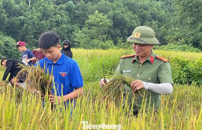 Không quản nắng nóng hay công việc vất vả, các đoàn viên nhanh chóng xuống ruộng, người cắt lúa, người bó, người thu gom.