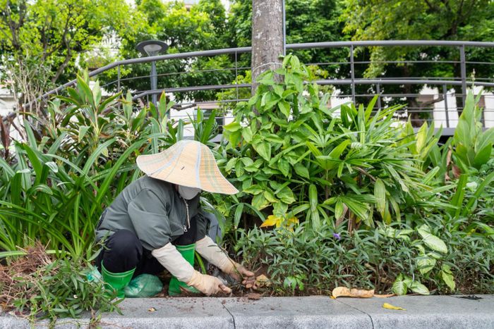 Bên dưới cầu cạn, nhiều loại cây hoa cũng được trồng mới nhằm tạo cảnh sắc rực rỡ hơn, đặc biệt khi cây cầu được chiếu sáng bởi hệ thống ánh sáng hiện đại.