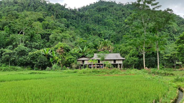 Người già trong bản kể, họ gọi tên bản Bướt vì khi đến vùng đất này, cây cối xanh tươi, ở đâu cũng có nguồn nước, dòng suối từ rừng già chảy uốn lượn quanh bản. Ảnh: Nhân vật cung cấp